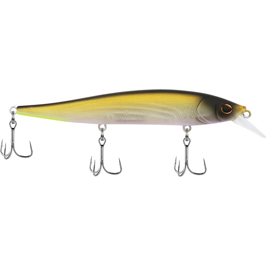 Berkley Stunna MF Tennessee Shad 1121 12oz Jerk Bait 1550800